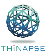 Thinapse Consulting